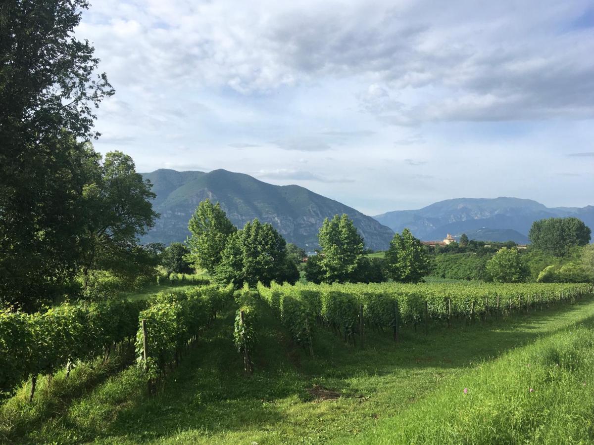 Holiday Home Punta D'Oro With Garden, Parking Place And Lake Access At 300 M Iseo Kültér fotó
