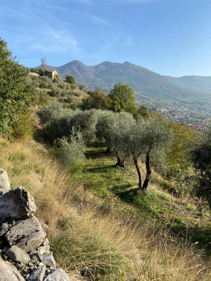 Holiday Home Punta D'Oro With Garden, Parking Place And Lake Access At 300 M Iseo Kültér fotó