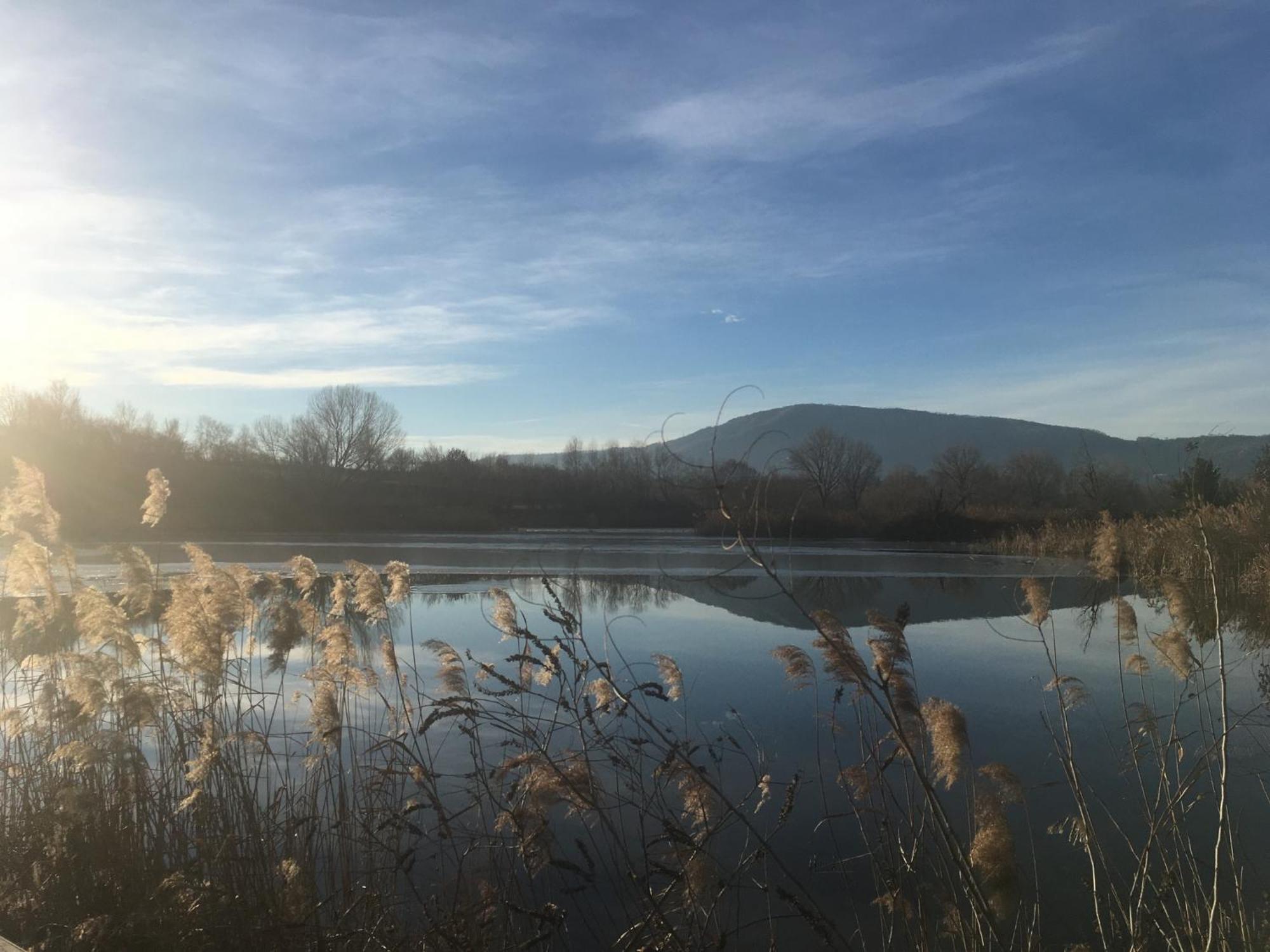 Holiday Home Punta D'Oro With Garden, Parking Place And Lake Access At 300 M Iseo Kültér fotó