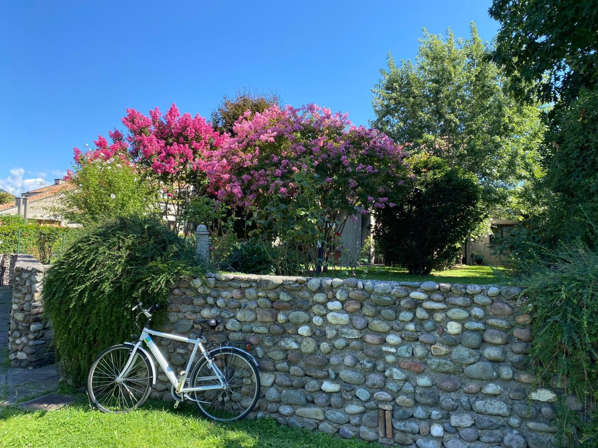 Holiday Home Punta D'Oro With Garden, Parking Place And Lake Access At 300 M Iseo Kültér fotó